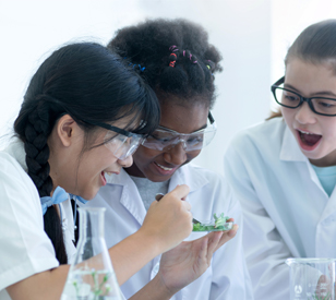 Image for UN International Day of Women and Girls in Science