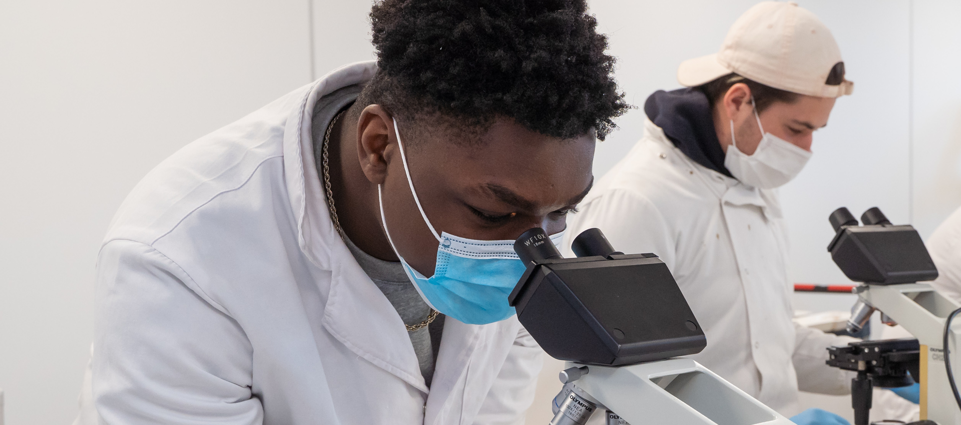 Image for Faculty of Science and Health