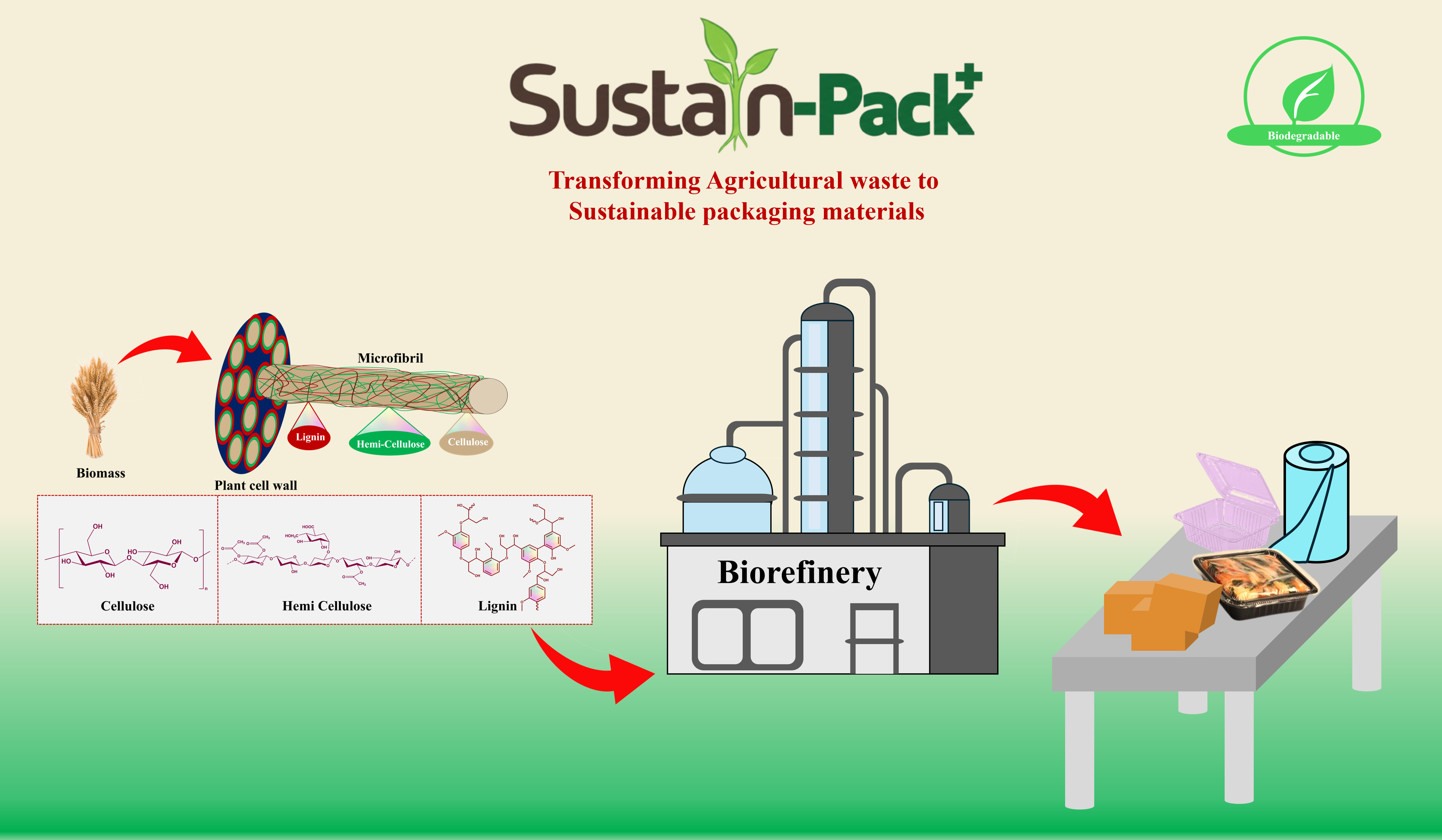 Transforming Agricultural Waste into Sustainable Solutions