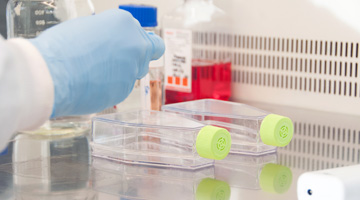 Image for Focas Research Facilities