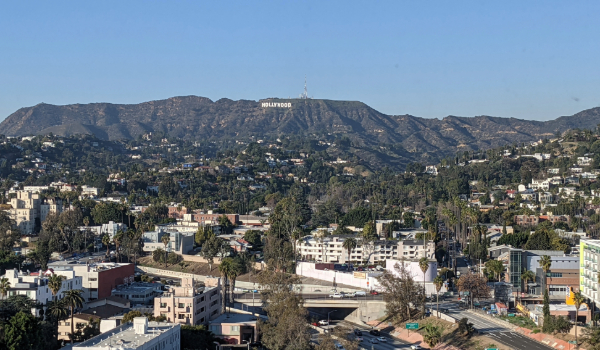 view