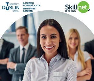 image for Helping Skillnet Business Networks navigate the University / Enterprise ecosystem in a new way

