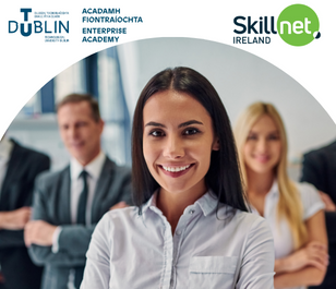 Image for Helping Skillnet Business Networks navigate the University / Enterprise ecosystem in a new way

