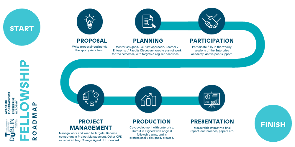 Fellowships infographic