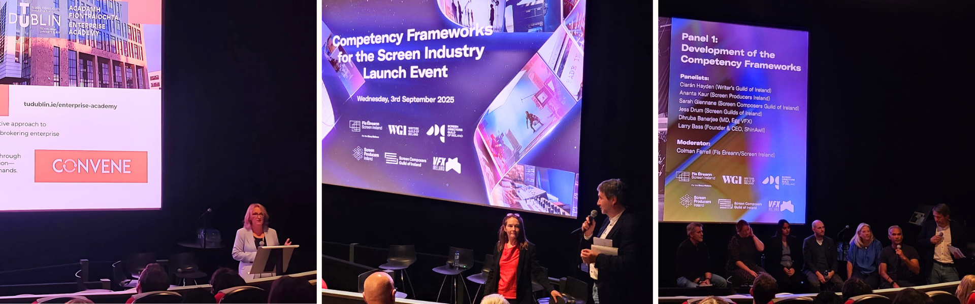Screen Ireland Competency Framework launch