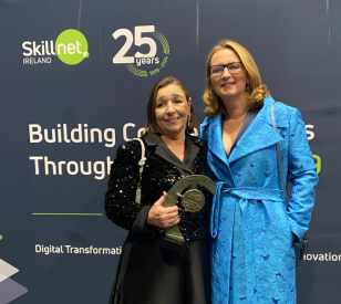 Image for Skillnet Ireland 25 Years - Celebrating success and impact of Skillnet Ireland and its partners supporting Irish Business