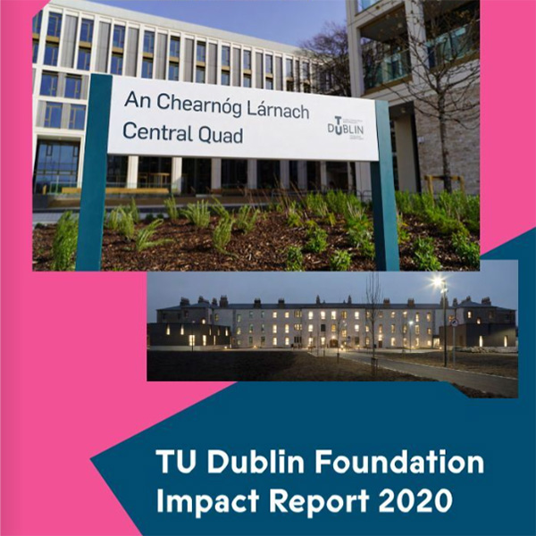 Image for Donor Report 2020