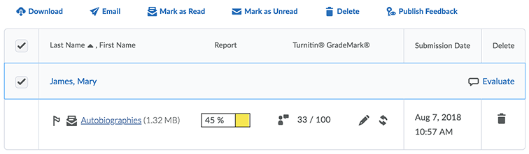 brightspace score turnitin