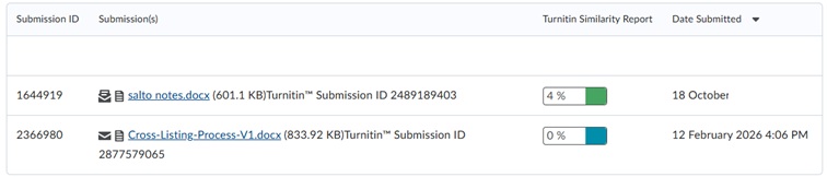 a students view of there Turnitin report in Submission view