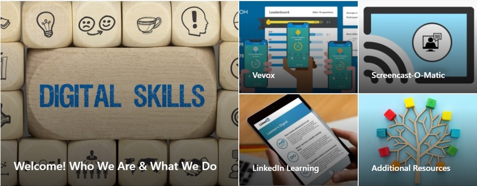 Digital Skills Screenshot of website