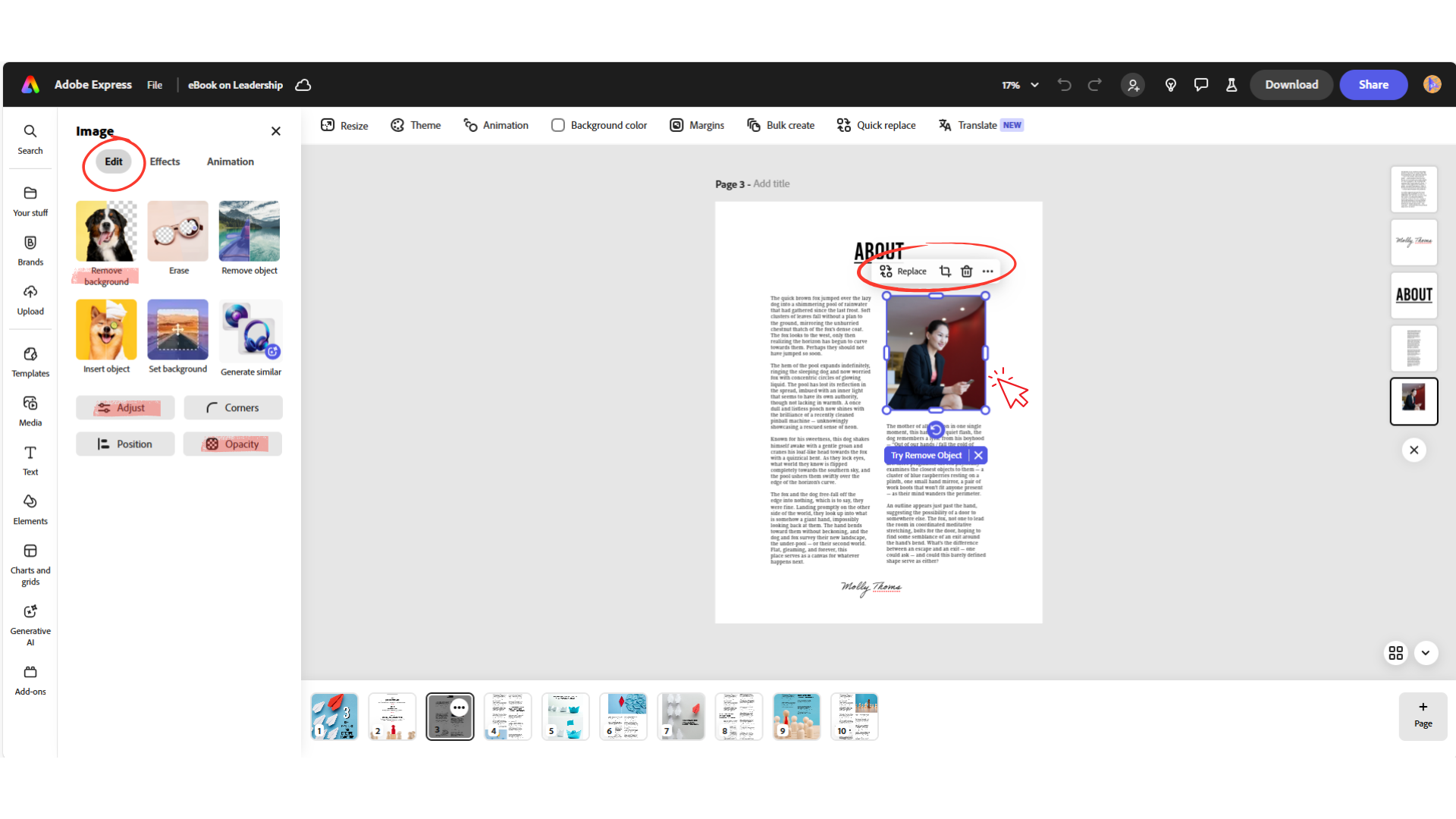 A screenshot showing the Image Edit window in the interface of Adobe Express.