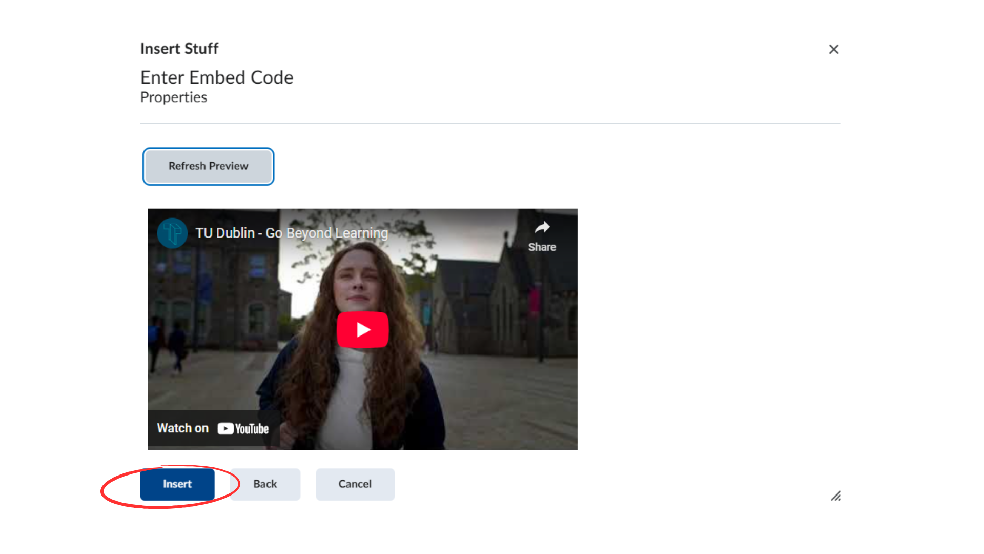 The window in the Brightspace interface showing a preview following the insertion of an embed code.