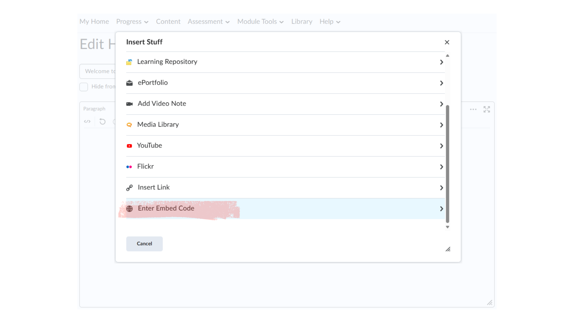 The Insert Stuff dropdown options in the Brightspace interface.