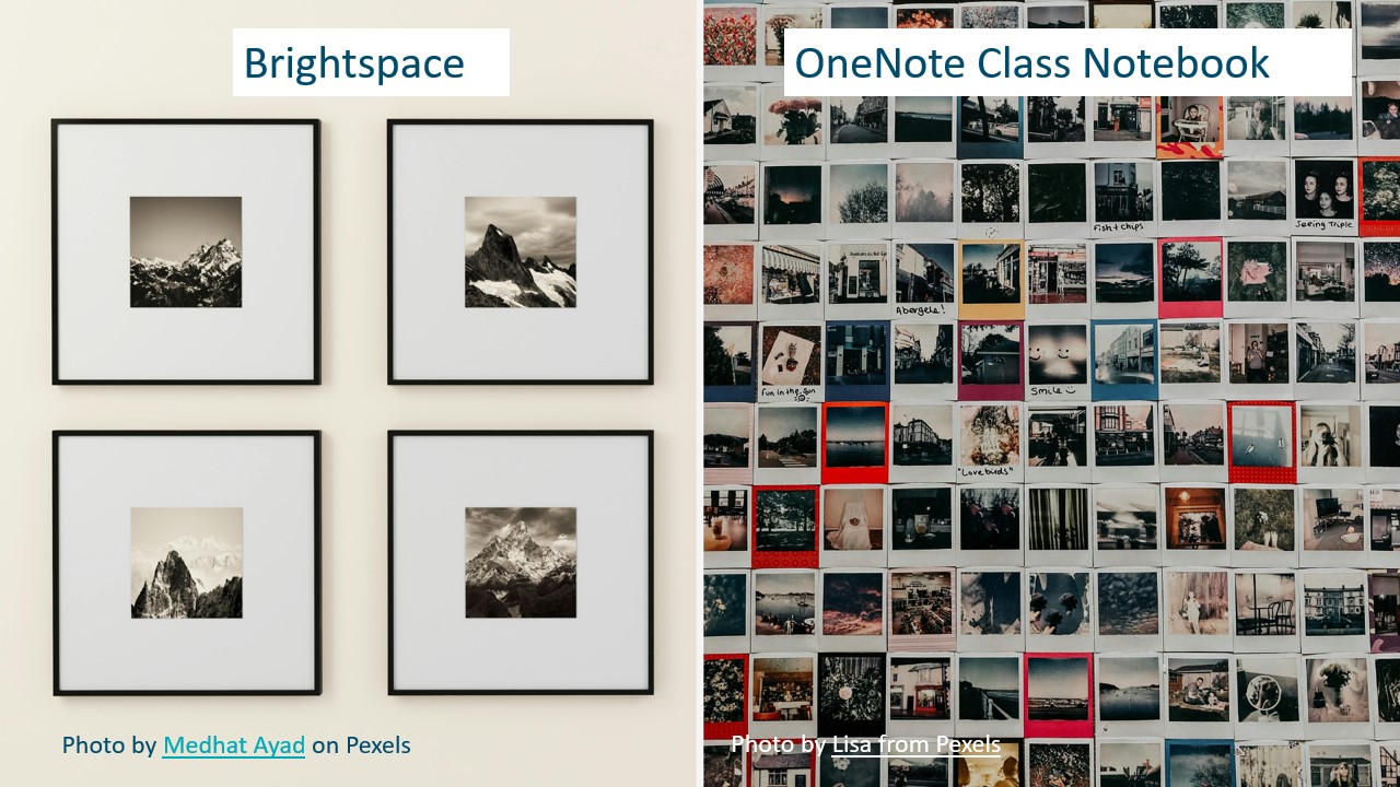 A comparison collage to illustrate the difference between Brightspace and OneNote Class Notebook. The image on the left is a curated set of framed photographs hanging on a white gallery wall. The image on the right is a large assembled collection of polaroid photographs.