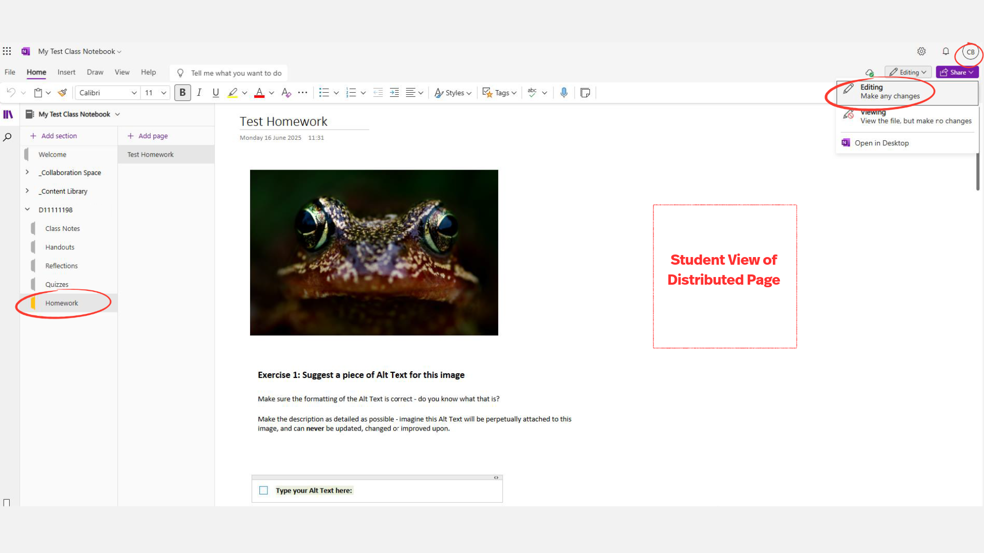 A screenshot of the student's view of a distributed page in Microsoft OneNote Class Notebook.