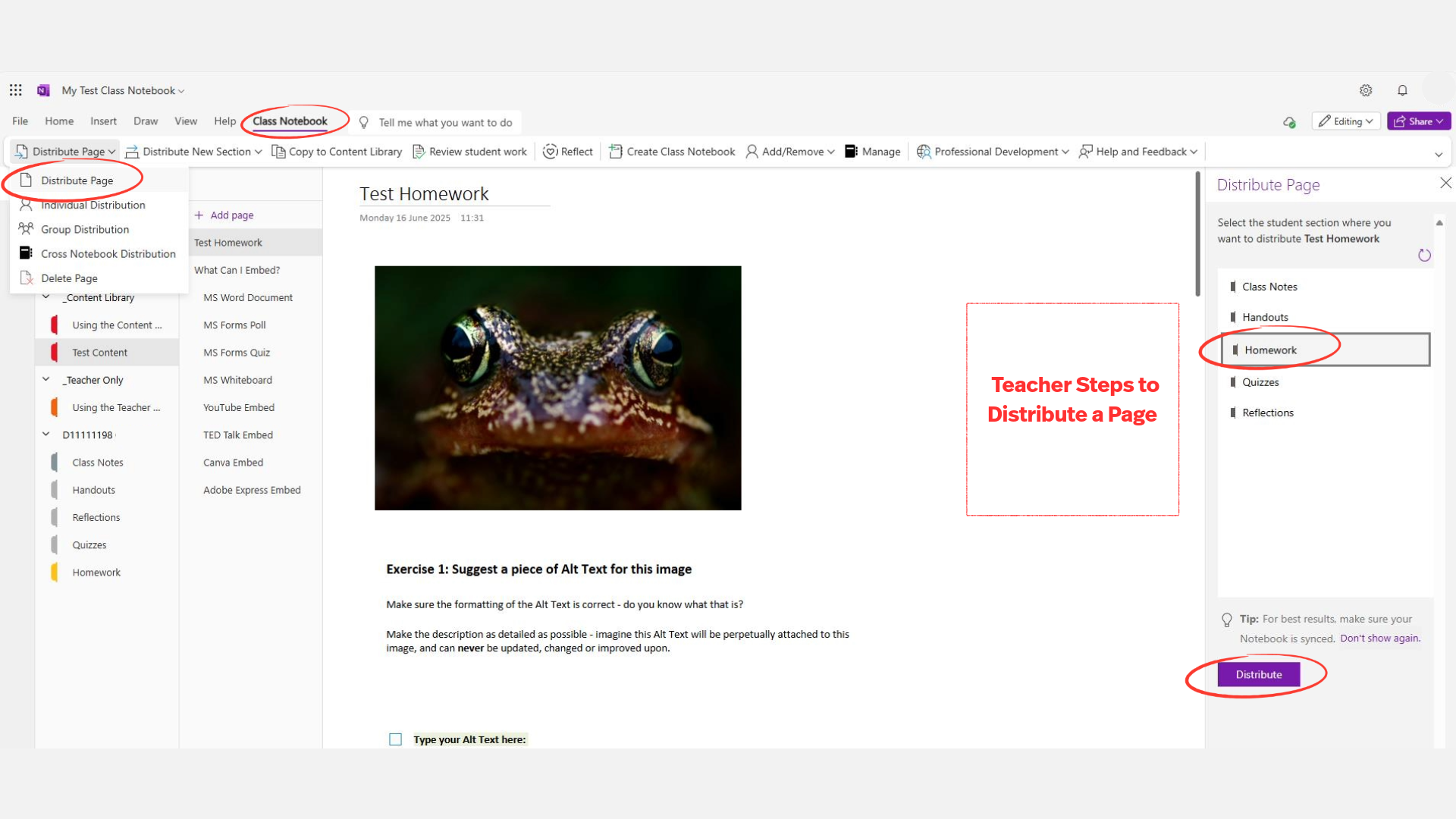 A screenshot of the teacher's workflow to distribute a page in Microsoft OneNote Class Notebook.