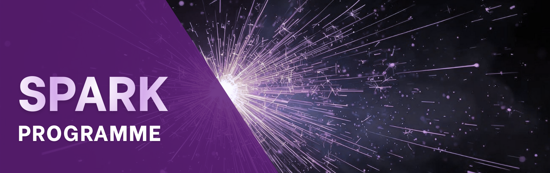 Spark Programme in white mixed writing on purple background with a spark on the right side