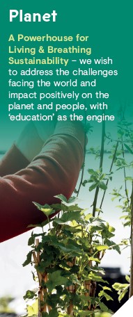 Hands trimming a tree