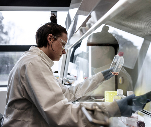 Student working in a lab