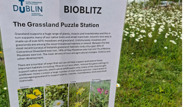 Image of the Bioblitz sign at Tallaght campus