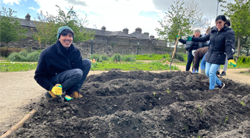 Image for TU Dublin students working in the Grangegorman Community Garden planting potatoes