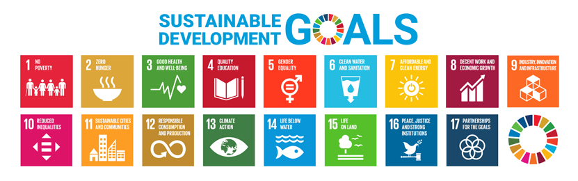 17 UN SDGs GRAPHIC ICONS