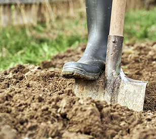Image for  The Future of Organic Soils in Ireland