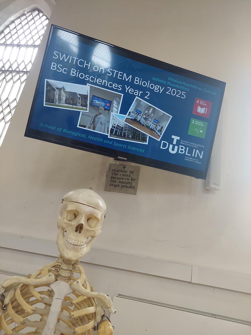 Switch on STEM skeleton