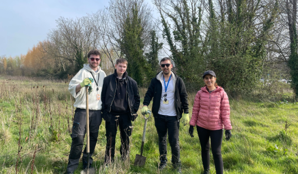 Volunteers planting trees on the Tallaght campus