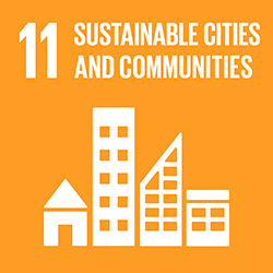 SDG 11