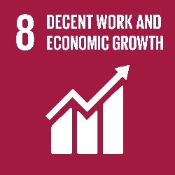 SDG 8