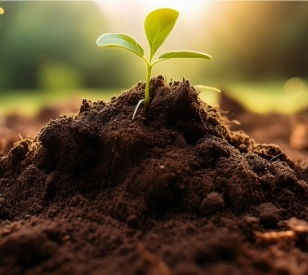 Image for Seminar Invitation: Empathy at the Heart of Living Lab Practice 