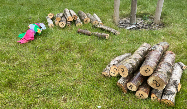 logs with letters and numbers