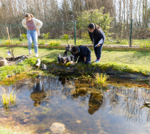 three school children in uniform peer into pond. adult female looks on into pond too