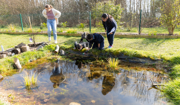 three school children and adult look into wide garden pond.