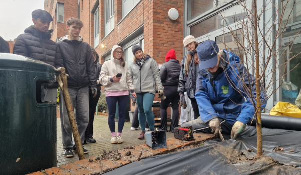 Tree planting on Angier Street micro-garden