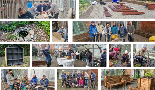 photo collage of the Aungier St micro-garden components