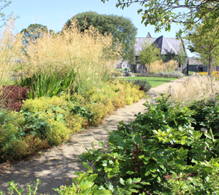 Image for Grangegorman Community Garden - Meet the Committee members - GDA