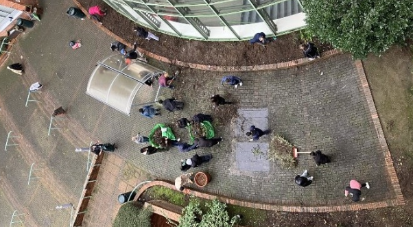 aerial view of volunteers at the micro garden in Aungier street