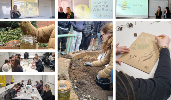 Photo collage of different bioiversity-related workshops in TU Dublin