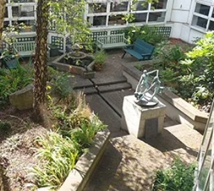 Image for Elemental Garden launches at Tallaght campus