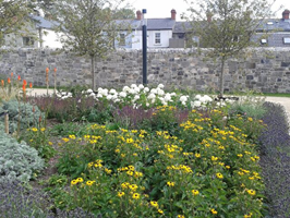 Community Gardens Grangegorman