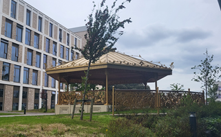 The Golden Bandstand 200pxl