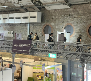 Image for Constructive Interference at the RDS