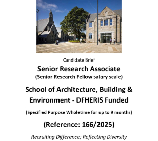 Image for SABE Senior Research Associate Candidate Brief
