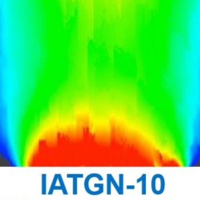 Image for IATGN-10 2015