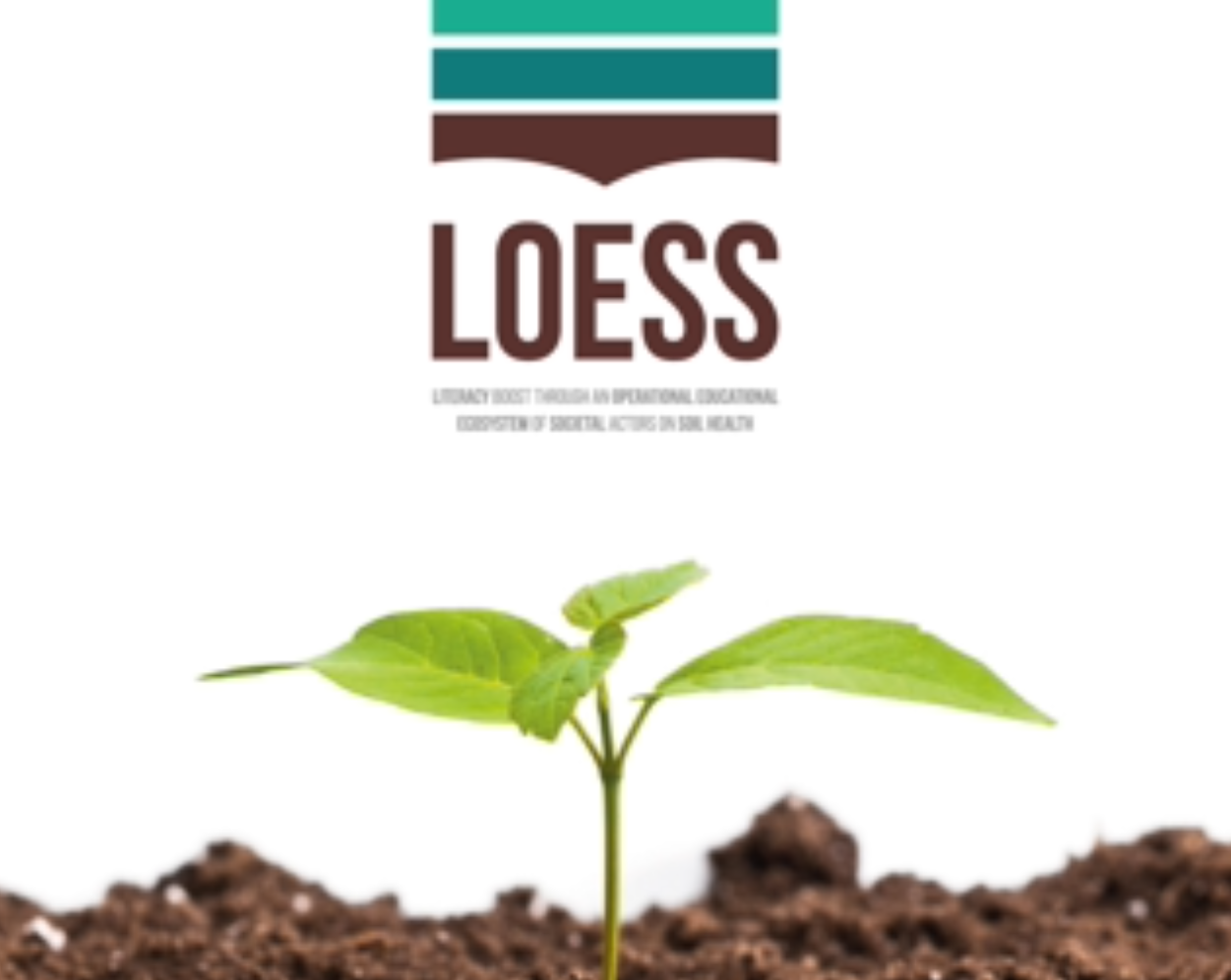 image for EU Soil Health Awareness Research Project Underway in the School