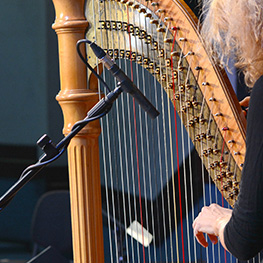 Image for Irish Traditional Music