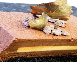 Image of Chocolate Catalan Creme Cake