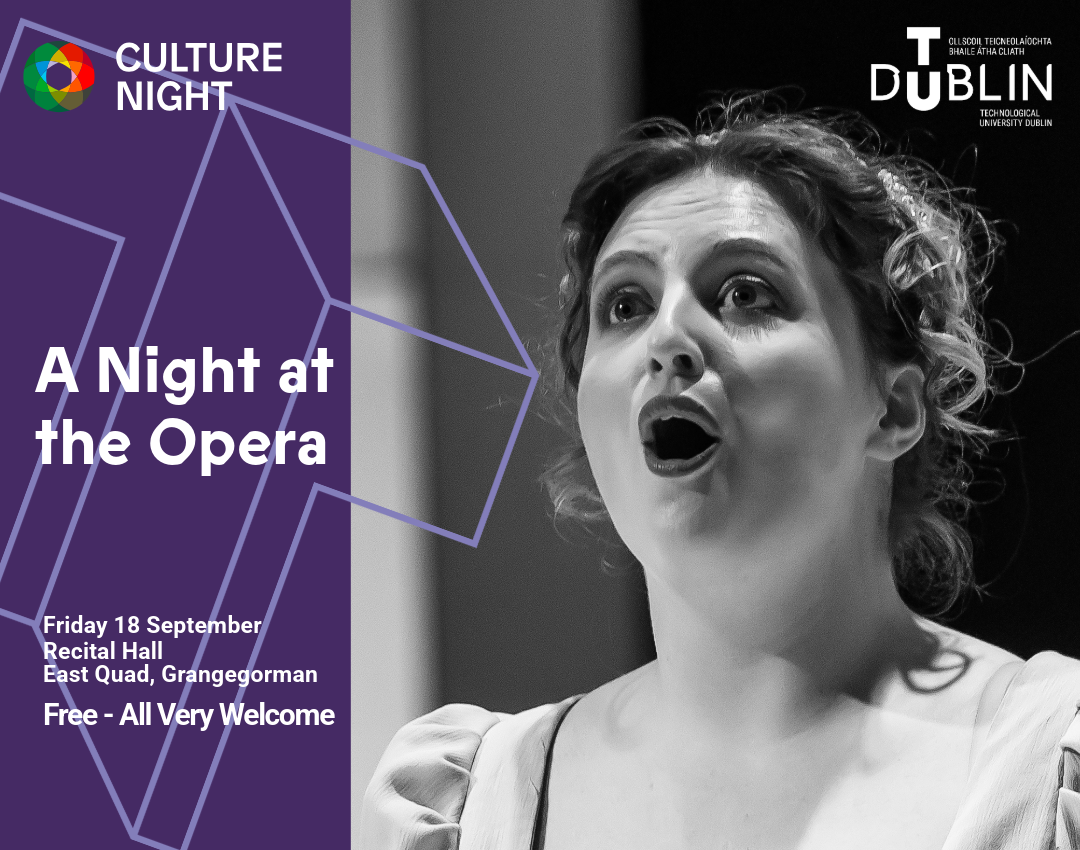 a night at the opera
